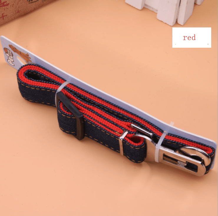 The Securepaws Pet Travel Harness