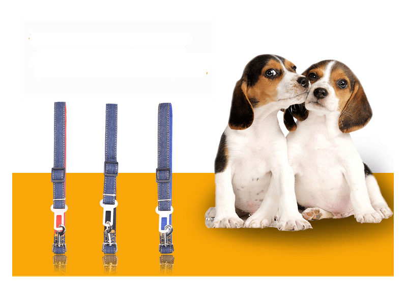 The Securepaws Pet Travel Harness