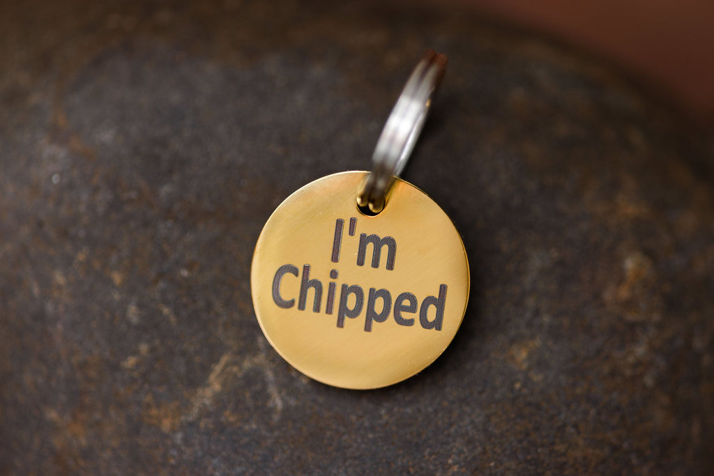 Stainless Steel "MICROCHIPPED" and "I'm Chipped" tags